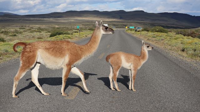 4X4 Expedition, Touring Patagonia From East To West