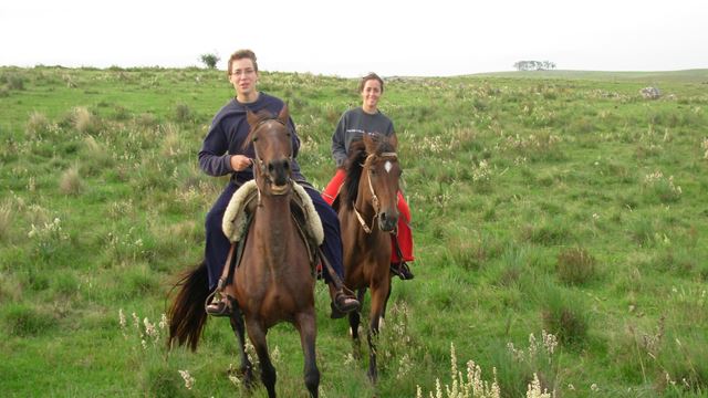 Experience In The Countryside Estancia Los Platanos