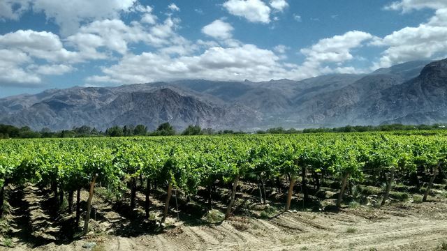 Experiência Em Quilmes, Amaicha E Tafi Del Valle