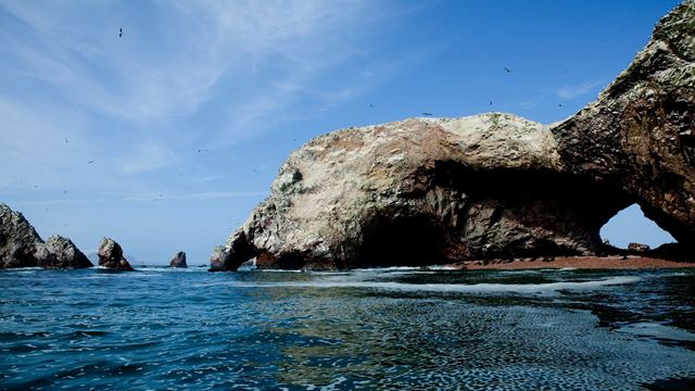 Paracas E Islas Ballestas