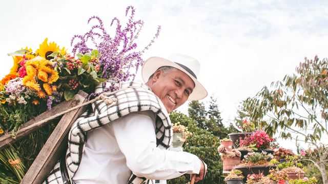 Floricultura Y Tradición Silletera En Santa Elena