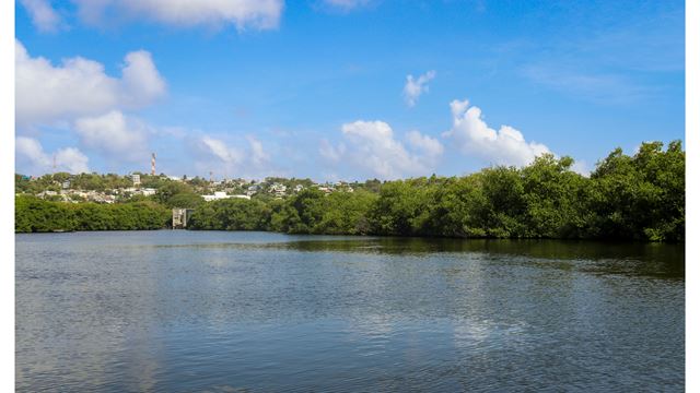 Ein Halber Tag, Den Sie Nicht Verpassen Sollten: Bahía Mayor, Aquarium Und Mangroven