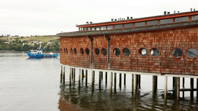 Visite D`Une Journée Complète De L`Île De Dalcahue Et Quinchao