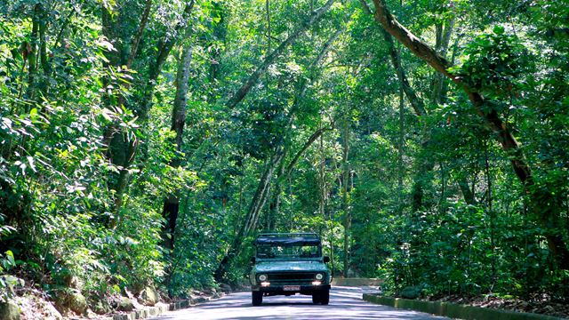 Jeep Tour Floresta Da Tijuca + Jardín Botanico