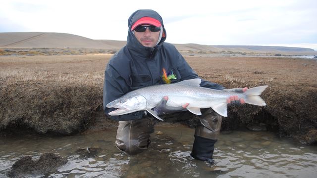 Journée De Pêche À La Mouche