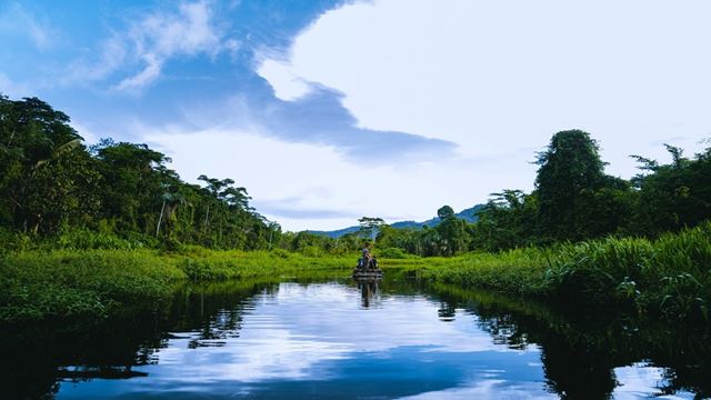 Tour A La Reserva De Biosfera Del Manu