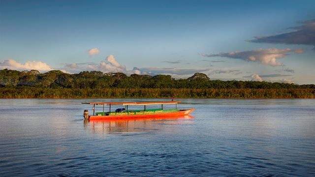 Maravilhas De Reserva Nacional Tambopata