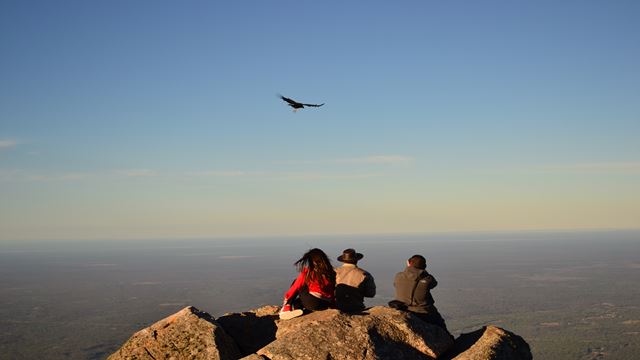 Avistaje De Cóndores En Quebrada De Los Cóndores