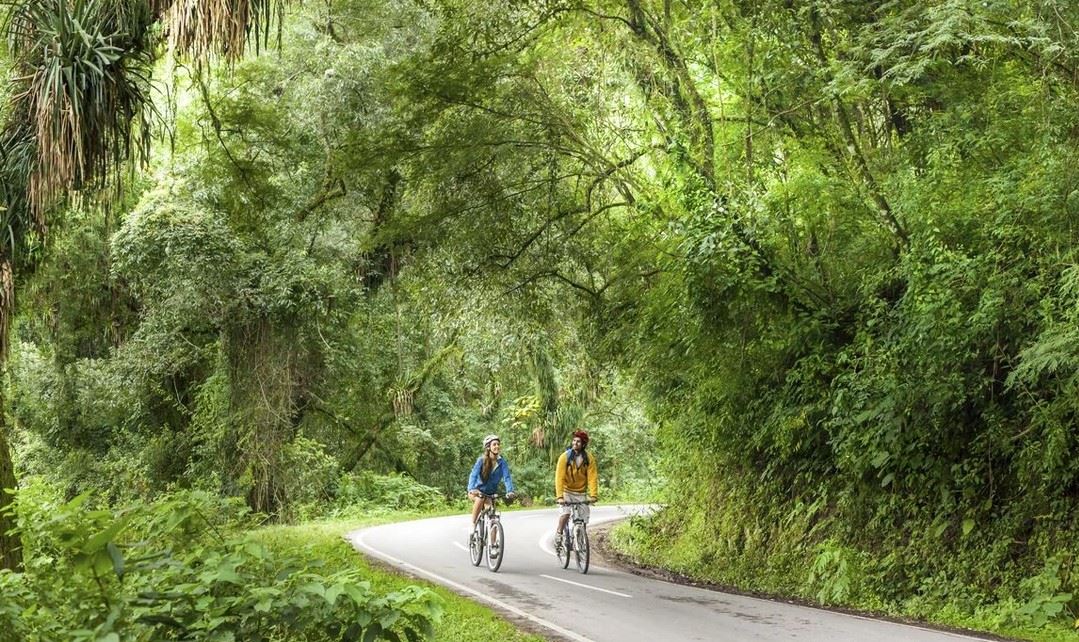 Mountain Biking In The Jungle - Yungas Circuit