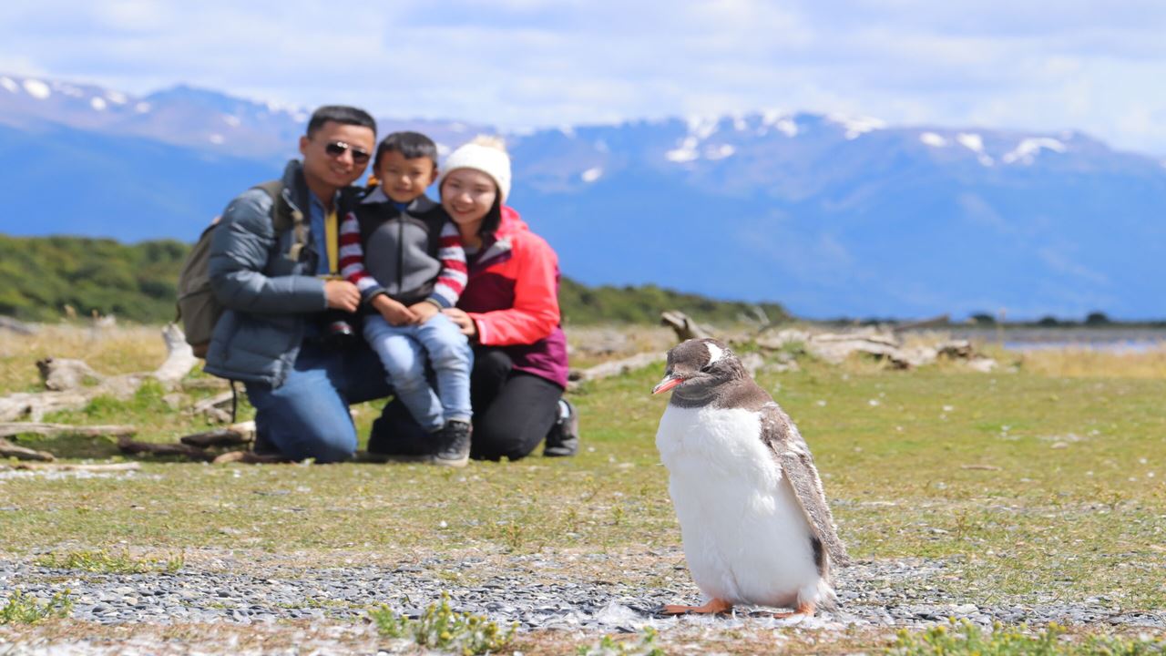 Beagle Channel Navigation And Walk With Penguins On Martillo Island
