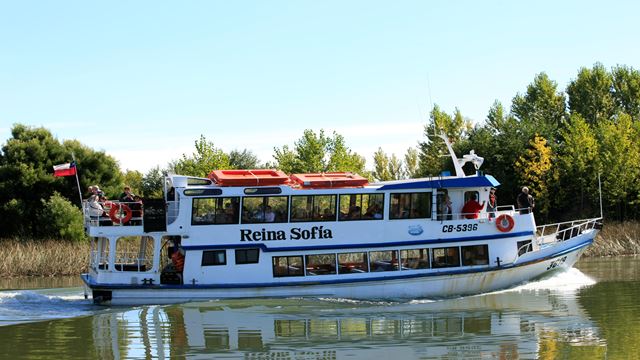 Navigationsrundfahrt Zur Insel Tejas In Valdivia
