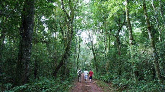 Forfait Aventure Chutes D`Iguazu