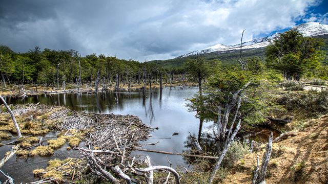 Viagem De Luxo Ushuaia