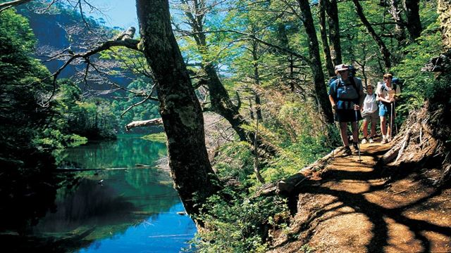 Trekking Huerquehue National Park.