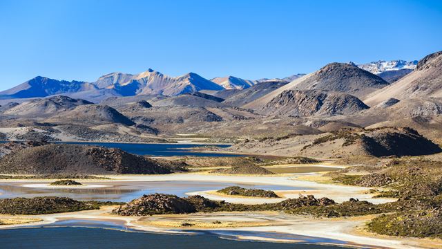 Lauca National Park Lake Chungara