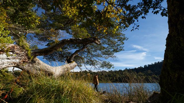 Parque Nacional Puyehue E Fontes Termais De Águas Calientes