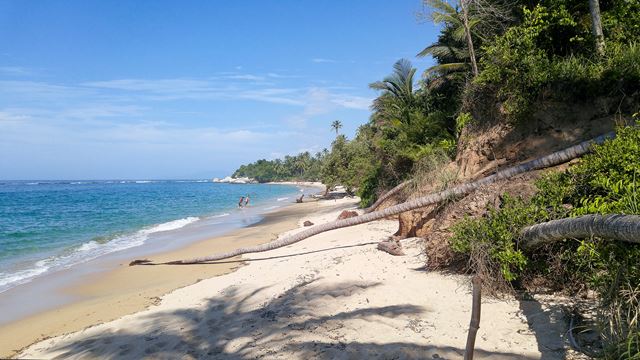 Tayrona Park: Tour To Cabo San Juan