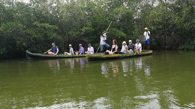 Passeio De Canoa Pelos Manguezais De Cartagena