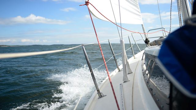 Visite Scolaire À Travers Les Îles Tropicales