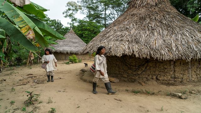 Village Taiku Et Trekking Dans Le Parc Tayrona