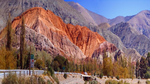 Brun D`Humahuaca Par Purmamarca Et Tilcara