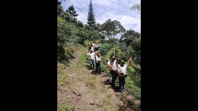 Traditional Coffee Tour