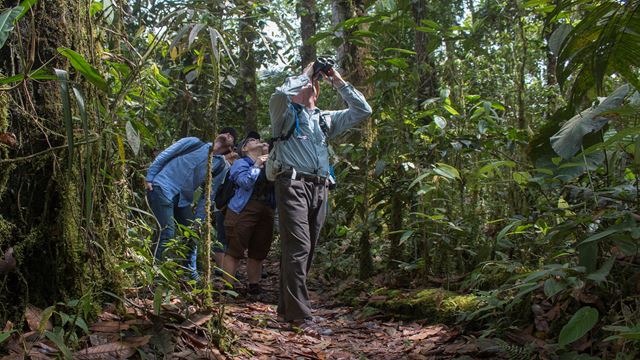 Recorrido De Un Día Al Santuario De La Flora Y Fauna Otún Quimbaya