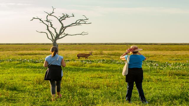 Rincon Del Socorro Lodge Experience