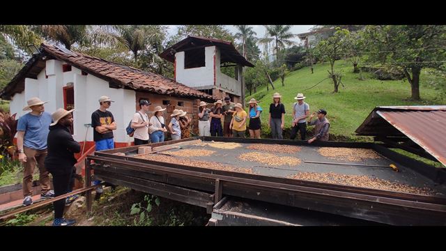 Visit To Organic Coffee Farm With Professional Tasting