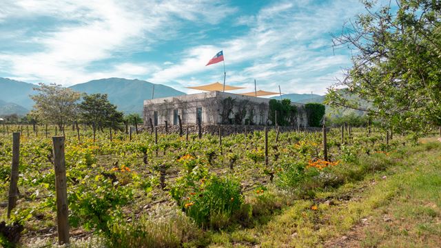 Visite Boutique De La Route Des Vins De La Vallée De Casablanca