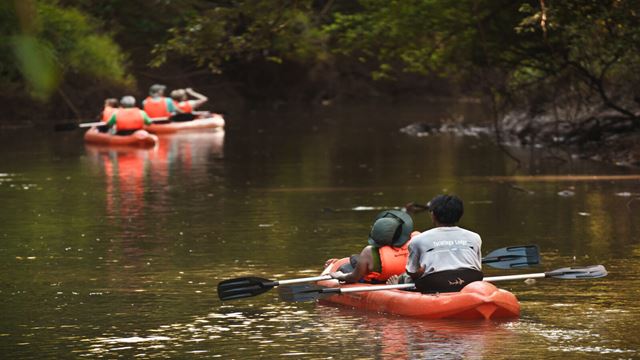 Mit Dem Auto Die Selva Misionera Und Die Iguazu-Wasserfälle Erkunden