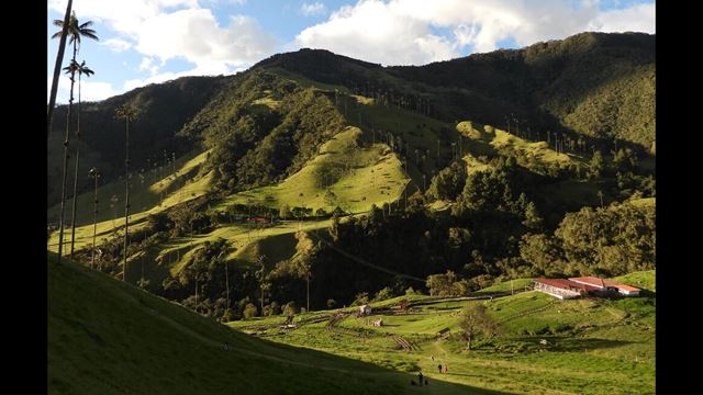 Hiking In Cocora Valley