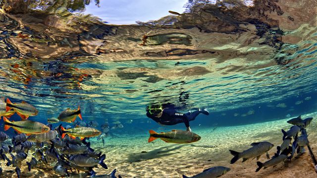 Snorkel Und Schwimmen In Rio Da Prata