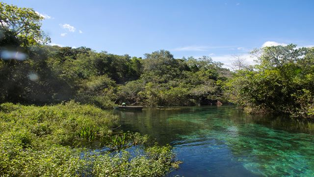 Flottants Dans La Rivière Sucuri