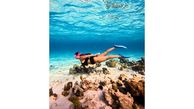 Mergulho Com Snorkel Na Bahia Mayor