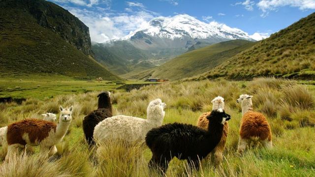 Dreams Of Ecuador Tour