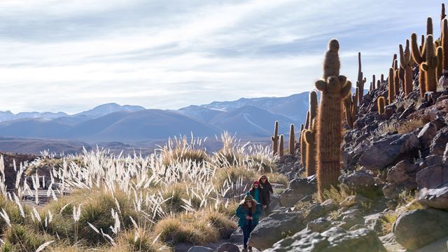 Trekking Cañón De Puritama Y Comunidad De Guatin