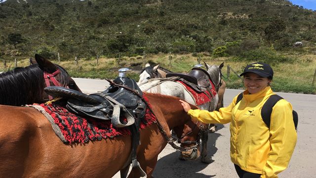 Tour A Caballo Por Los Cerros Orientales De Bogotá