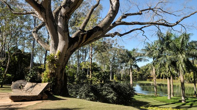 Tour To The Inhotim Museum