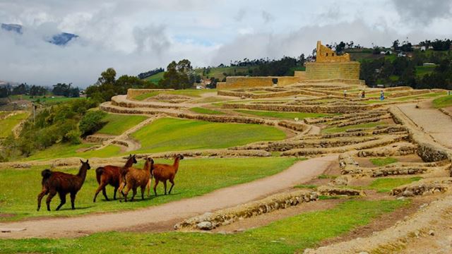 Excursion Aux Ruines D`Ingapirca