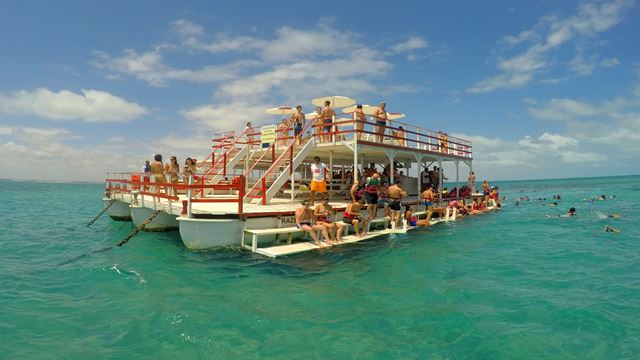 Tour À Maracajaú Com Passeio De Catamarã