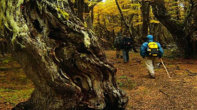 Cajon Del Azul Trekking Tour