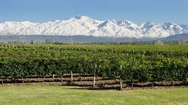 Tour De Vinos Medio Dia (Lujan-Maipu)