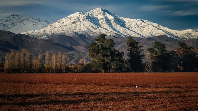 Tour And Tasting To Viña Narbona In The Aconcagua Valley