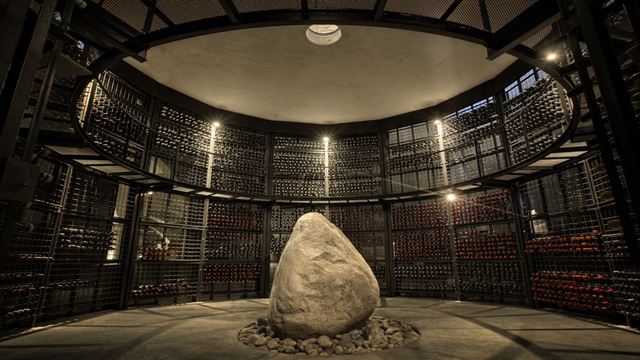 Visite Et Dégustation De Vin À La Cave Zuccardi