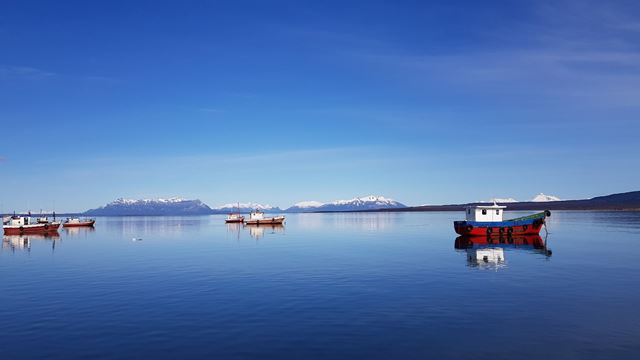 Visita À Estância Patagônica Bahía Esperanza