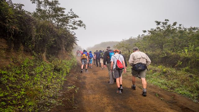 Walking tour Sendero de la Isla  Travel in Ecuador and Galapagos