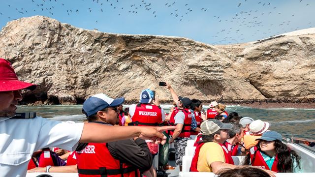 Tour Islas Ballestas Desde Puerto San Martin