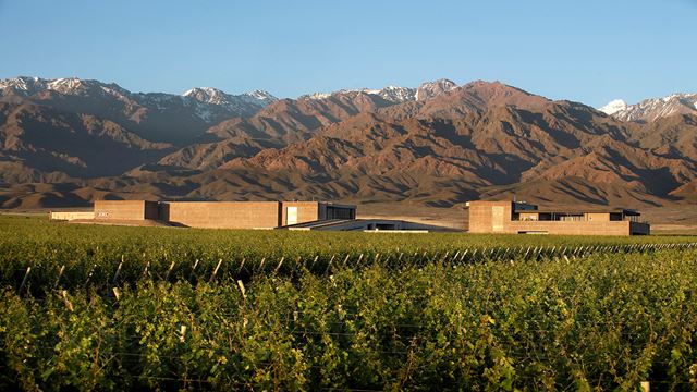 Private Wine Tour: Uco Valley Region