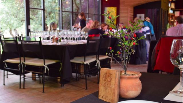 Tour Y Degustación En Bodega Casa Vigil